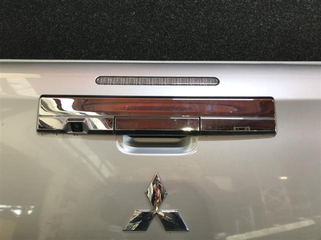 Tailgate Handle Outer
