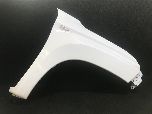 Rf Guard/fender Wide Body (repeater Type)