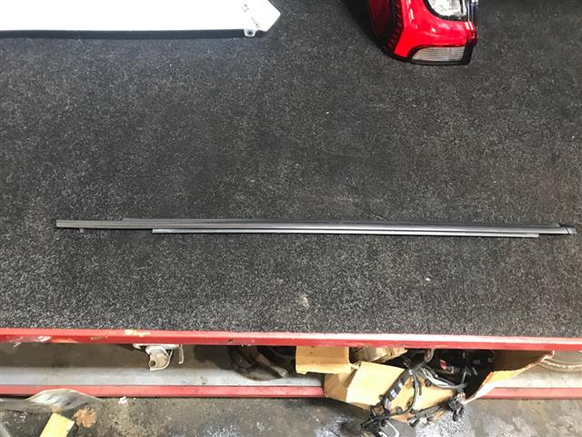 Rf Door Weather Strip Mould