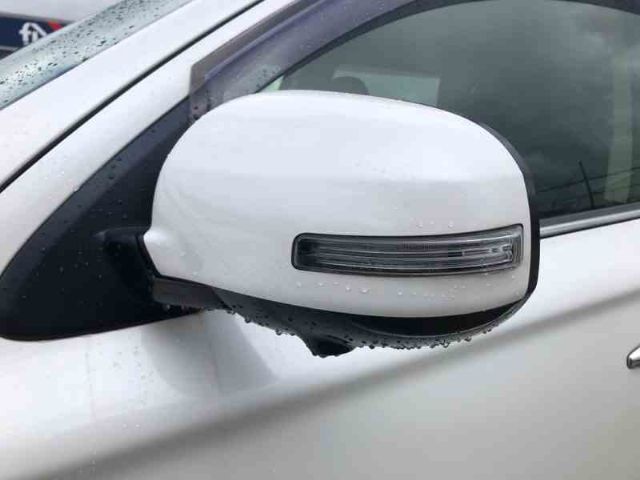 Lf Door Elec Mirror (13 Wire)