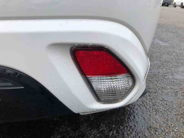 Rr Bumper Light
