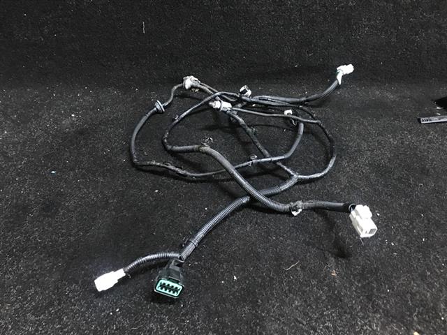 Wiring Loom