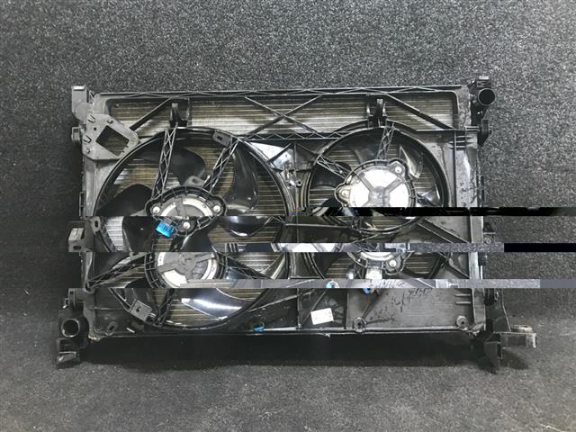 Radiator Fan