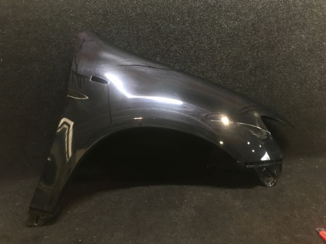 Rf Guard/fender