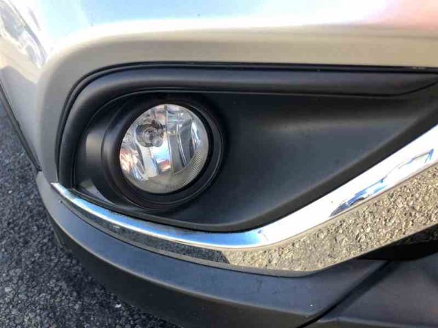 R Spotlight