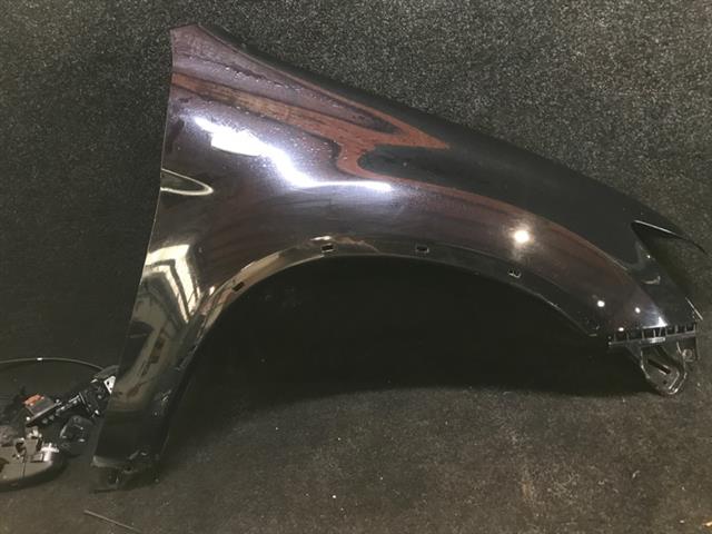 Rf Guard/fender (flare Type)