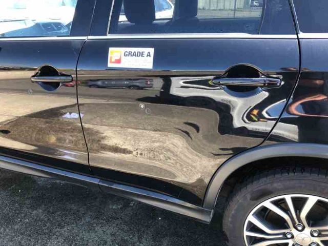 Lr Door Shell