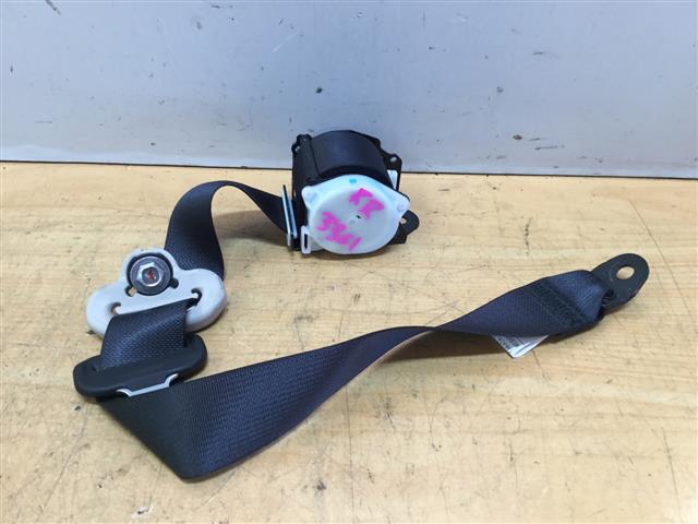 Rr Seat Belt