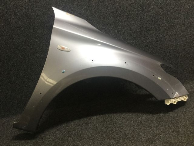Rf Guard/fender