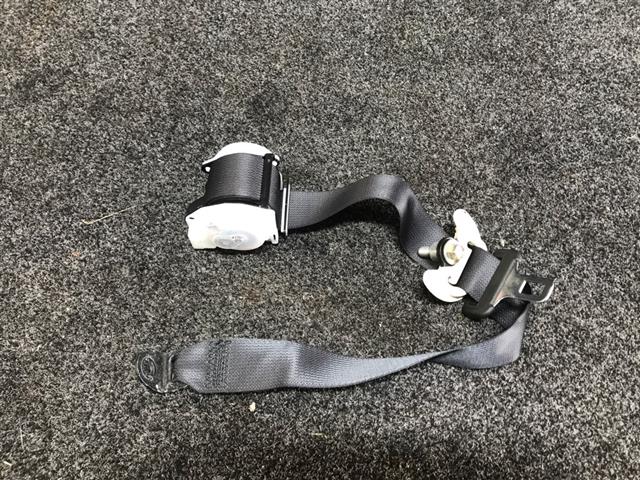 Rr Seat Belt