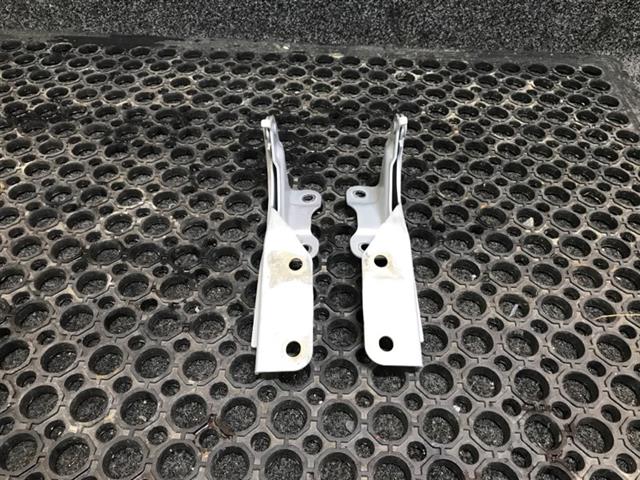Bonnet Hinges (set)
