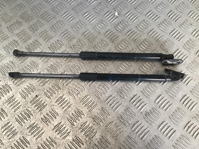 Tailgate Struts (set)