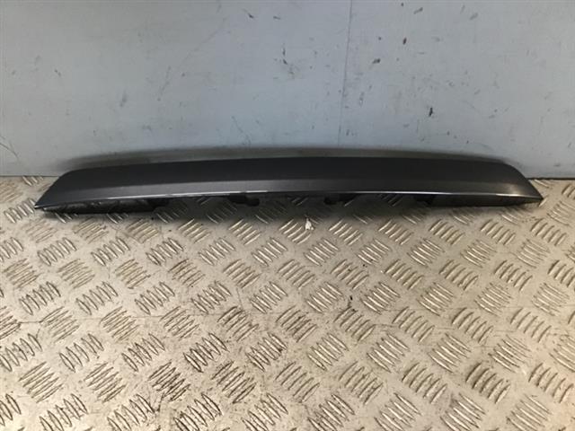 Tailgate Moulding