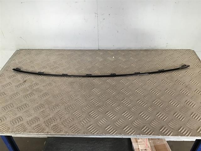 Front Bumper Moulding