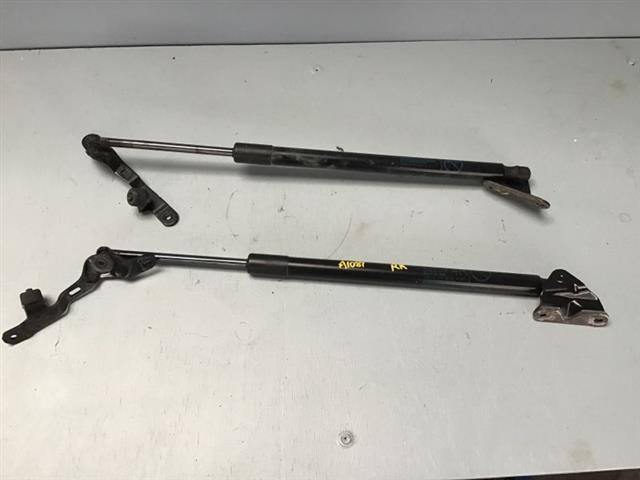 Tailgate Struts (set)