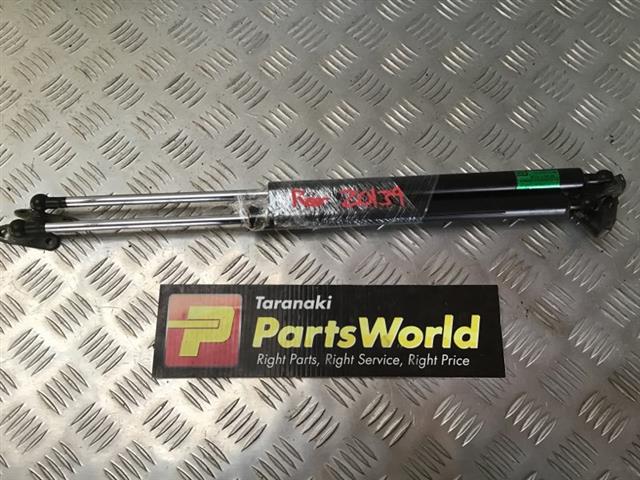 Tailgate Struts (set)