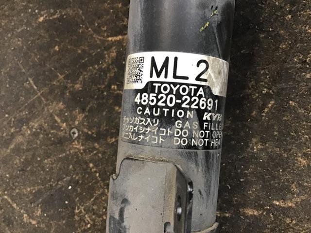 Lf Strut Electric