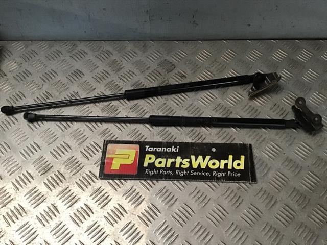 Tailgate Struts (set)