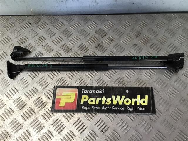 Tailgate Struts (set)