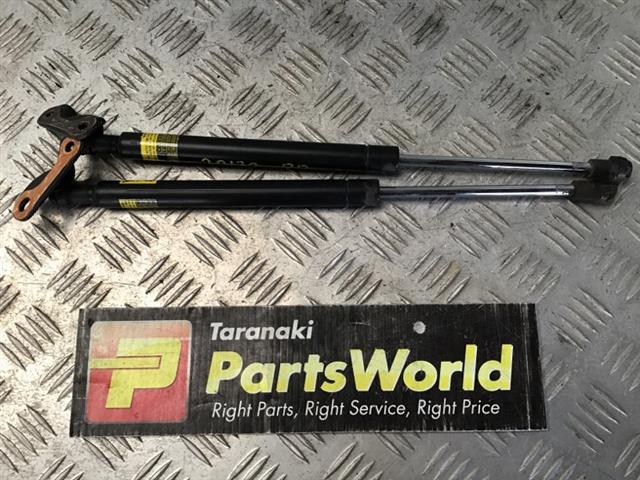 Tailgate Struts (set)