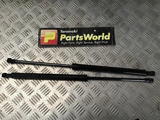 Bonnet Gas Struts (set)