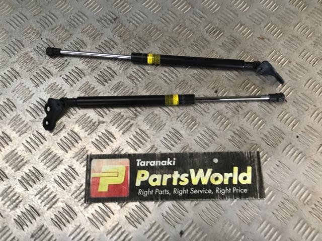 Tailgate Struts (set)