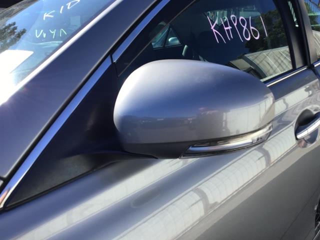 Lf Door Elec Mirror