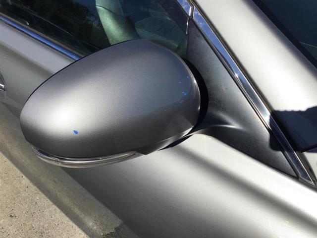 Rf Door Elec Mirror