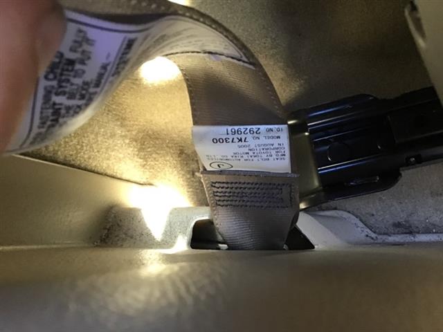 Rr Seat Belt