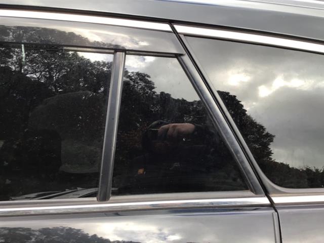 Lr Door Quarter Glass