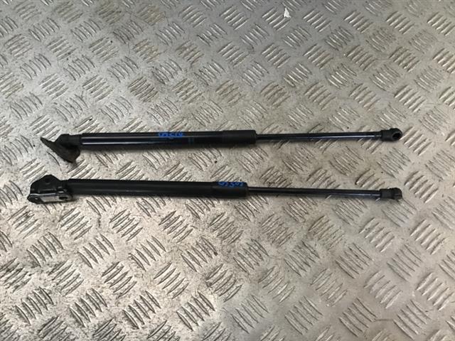 Tailgate Struts (set)
