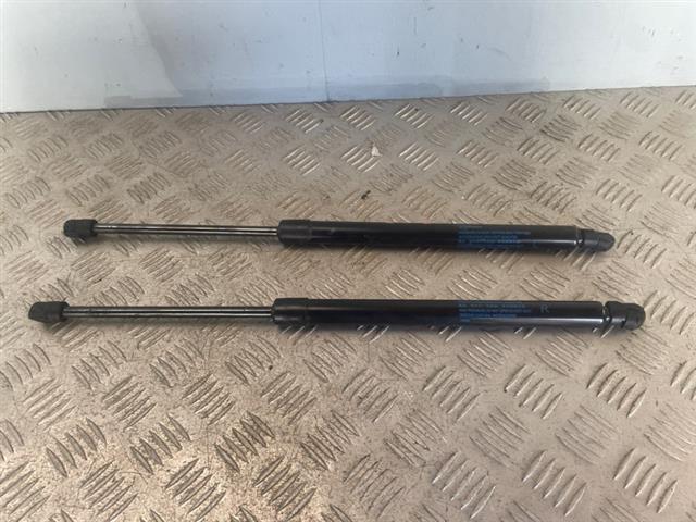 Tailgate Struts (set)