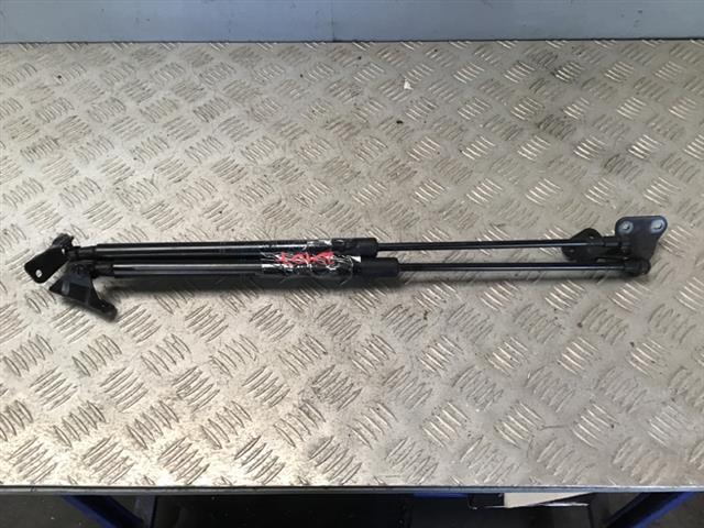 Tailgate Struts (set)