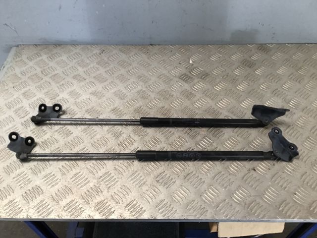 Tailgate Struts (set)