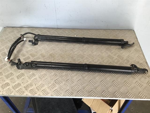 Tailgate Struts Set (self Opening)