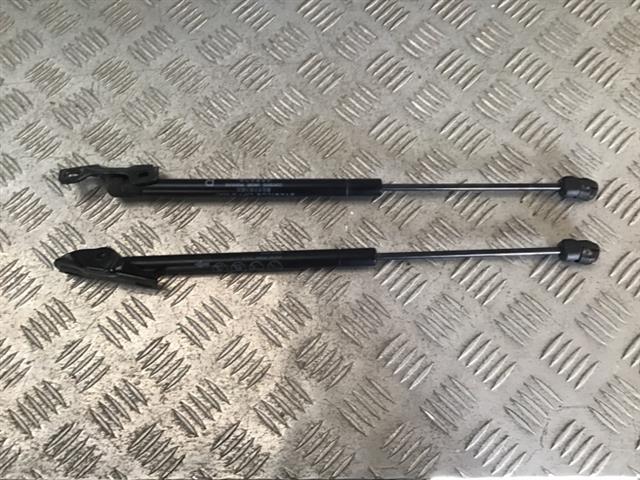 Tailgate Struts (set)