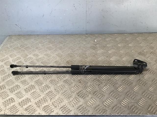 Tailgate Struts (set)