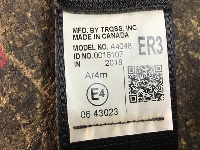 Rr Rear Seat Belt