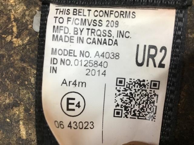 Rr Seat Belt