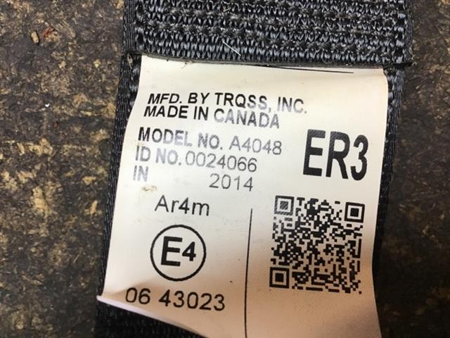 Rr Rear Seat Belt