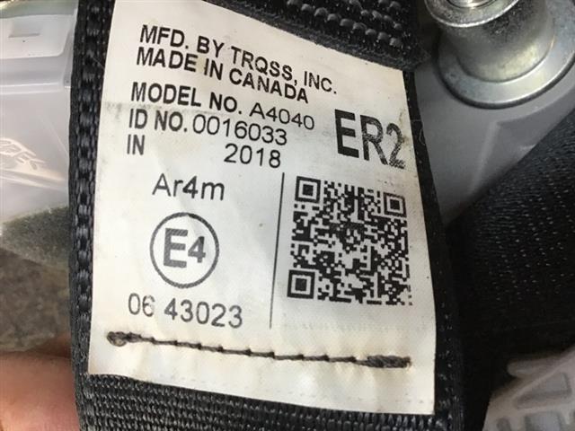 Rr Seat Belt