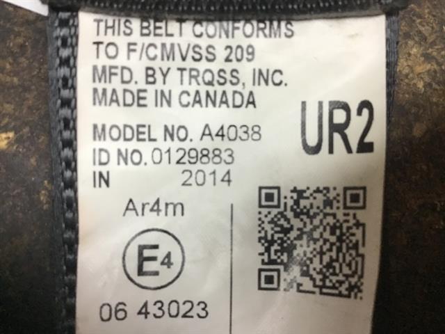 Rr Seat Belt