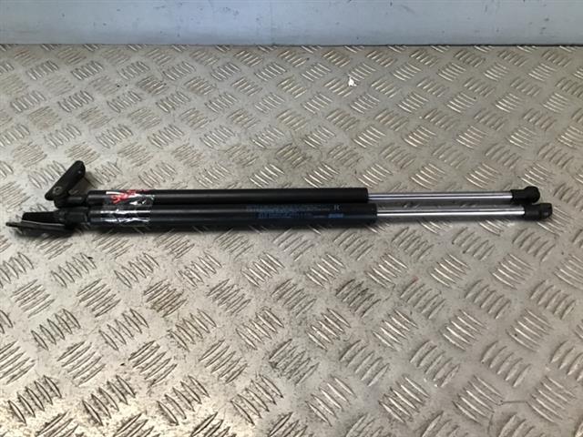 Tailgate Struts (set)