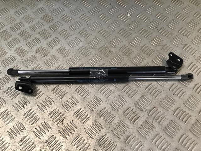Tailgate Struts (set)