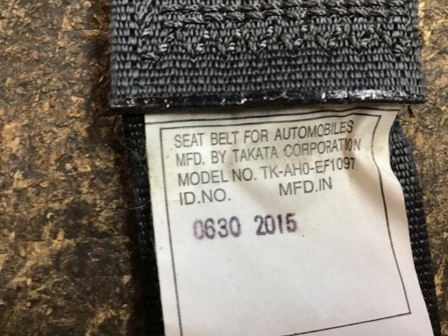 Rr Seat Belt