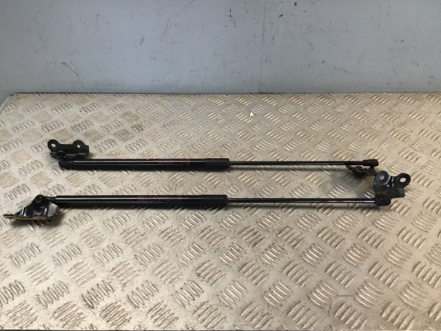 Tailgate Struts (set)