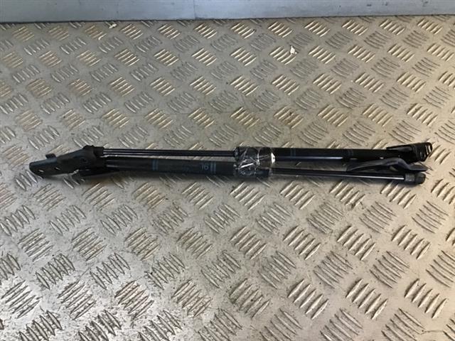 Tailgate Struts (set)