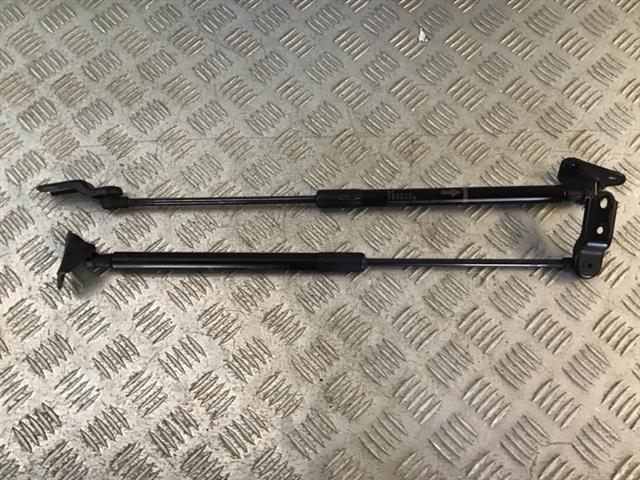 Tailgate Struts (set)