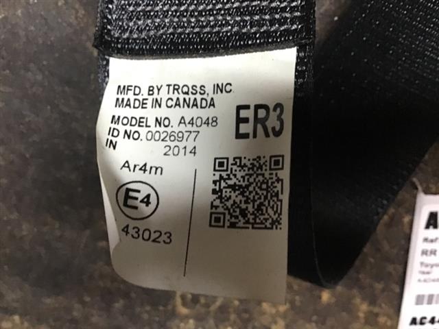Rr Rear Seat Belt