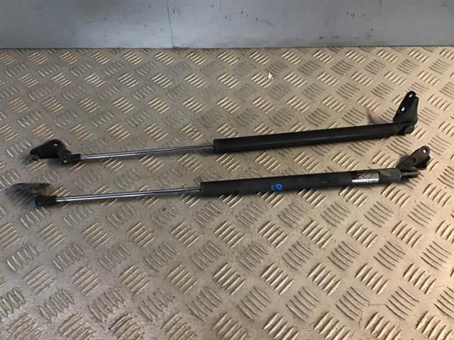 Tailgate Struts (set)
